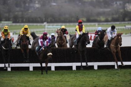 Today's 80/20 comes from Cheltenham